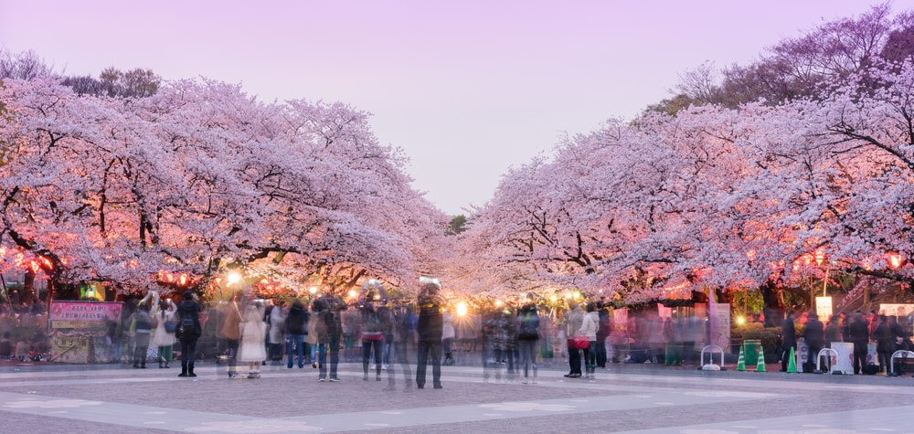 Ueno Park and Zoo